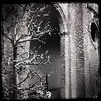 Pochette Streams of Consciousness