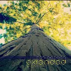 Pochette Tree Extended