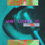 Pochette What Lovers Do (Slushii remix)