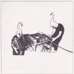 Pochette Dreamed Yellow Swans