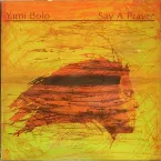 Pochette Say a Prayer
