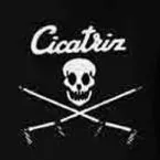 Pochette Cicatriz en la matriz
