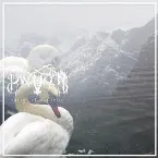 Pochette The White Mountain View