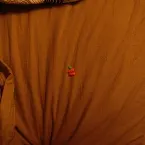 Pochette The Decline Demos