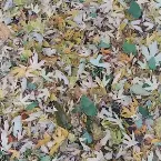 Pochette Static Flood