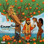 Pochette Orange Season