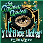 Pochette Y la hice llorar