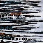 Pochette LIVING FIELD