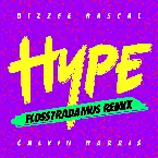 Pochette Hype (Flosstradamus remix)