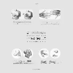 Pochette Muscle and Mind