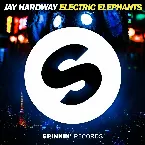 Pochette Electric Elephants