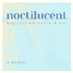 Pochette Noctilucent Reworks