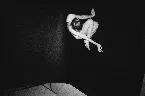 Pochette It's Getting Darker and Darker and I Can't Find the Road by Which You'll Come Back to Me; You're My Destiny, I Am Here With My Life Turned Around, My Feet Are Touching the Ground, and We're Making Love Until the Sun Shines Bright One D