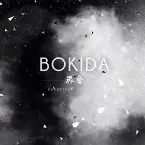 Pochette Bokida: Heartfelt Reunion Soundtrack (2017)