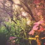 Pochette Stxcks//stxnxs