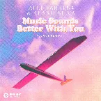 Pochette Music Sounds Better with You (Voost remix)