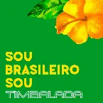 Pochette Sou Brasileiro Sou