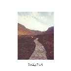 Pochette Losing Track