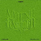 Pochette Rayon vert (remixes)