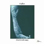 Pochette I Hear the Wind Singing