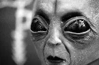 Pochette The Heroes of the Past Had Hopeless Schemes for the Future of Mankind, but Boy Were They Wrong About the Phantasmagoric Degradation Our Species Will Face by 2022; So Much So That Even the 72 Virgins Promised by Islam Cannot Level All O