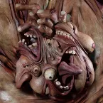 Pochette Shapeshifter