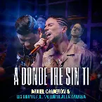 Pochette A dónde iré sin ti