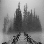 Pochette Mist of Dissonance