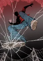 Pochette Lawful Interception