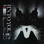 Pochette Into You