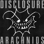 Pochette Arachnids