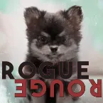 Pochette Rogue Rouge