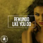 Pochette Like You Do