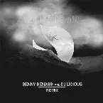 Pochette Wild Like the Wind (Benny Benassi & DJ Licious remix)