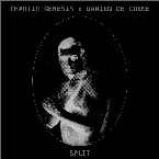 Pochette Chaotic Genesis x Damien De Coene