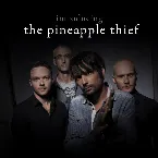 Pochette Introducing The Pineapple Thief