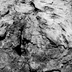 Pochette Earth Awhile