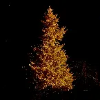 Pochette Juichigatsu no Michibe (Launiger Spaziergang)