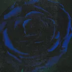 Pochette Ghost (acoustic)