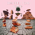 Pochette Something I Said (Acoustic)