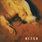 Pochette BITCH (takes one to know one)