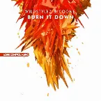 Pochette Burn It Down