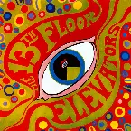 Pochette The Psychedelic Sounds of the 13th Floor Elevators