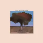 Pochette Racines synthétiques