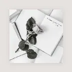 Pochette The Tortured Poets Department: Piano Instrumentals