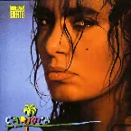 Pochette Carioca