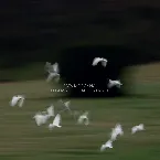 Pochette Fata Morgana