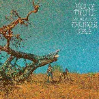 Pochette Crooked Tree