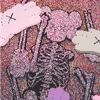 Pochette The Birds Don’t Sing