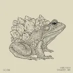 Pochette 2020.10.03 Swanzey, NH